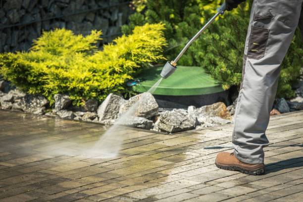 Best Solar Panel Cleaning  in Roanoke, TX