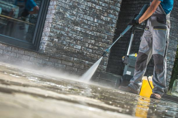 Best Animal Enclosure Cleaning  in Roanoke, TX